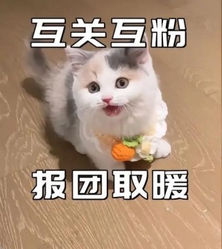 希望善良的友友们支持，让我尽快达到100个粉丝，大家一起加油