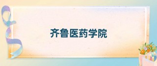 2025齐鲁医药学院录取分数线是多少「在各省录取最低分」