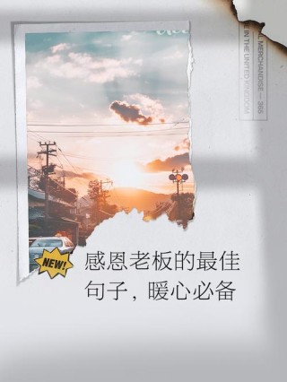 感谢领导金句！拿走不谢