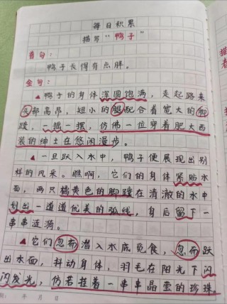 描写小动物的好词好句积累