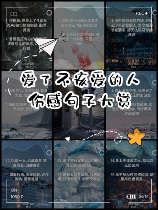 关于爱情，伤感唯美感悟人生的情感句子精选