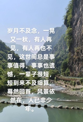 每日治愈文案|一晃又一秋，有人再见，再也不见