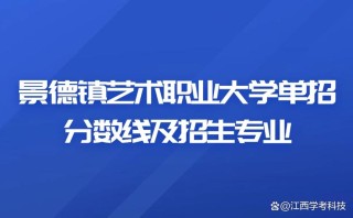 景德镇艺术职业大学2025年录取分数线（在各省录取最低分是多少）