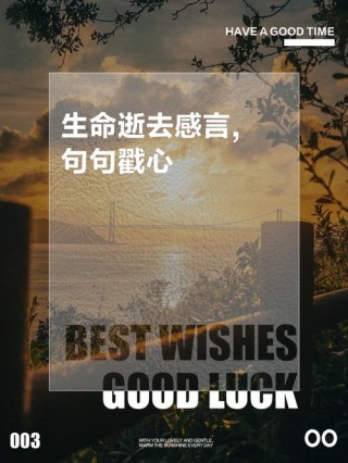 生命的感慨
