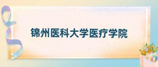 锦州医科大学医疗学院2025年在宁夏录取分数线是多少（2025~2023近三年分数位次）