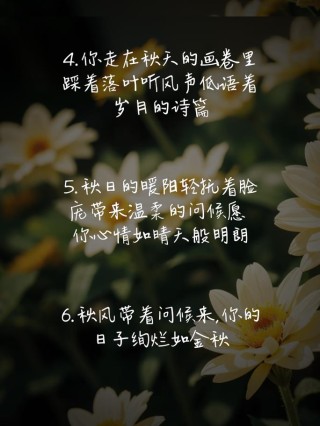 2023最佳秋日温馨短句，金秋十月佳句，简短秋天祝福语