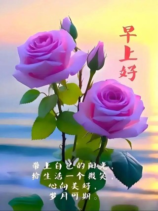 暖心的早上好图片带字，漂亮风景早安问候关心家人朋友的祝福大全