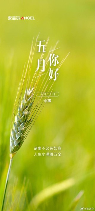 高级小众的五月文案
