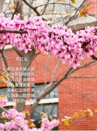 似水流年，总会心留一抹念；红尘风暖，总会拾得一缕香