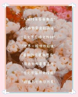 八字短句干净治愈，治愈心灵的八字短句