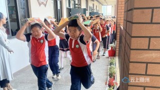 曾都区鹿鹤小学2023年暑期培训小记