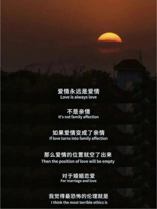 抖音上最近很火的情感句子，让你看懂爱情，读懂人生