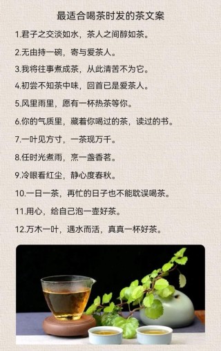 茶的经典语录，太有才了