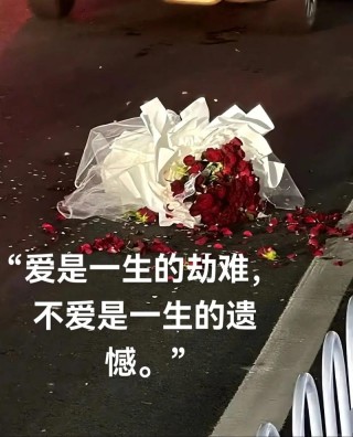 放弃爱一个人时发的说说，不爱是一生遗憾，爱是一生磨难！