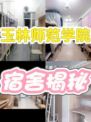 玉林师范学院在辽宁录取分数线、位次、招生人数（2023-2025招生计划）