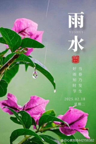 今日“雨水”：好雨知时令，朦胧见春意