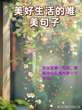 生活简单精致句子，生活的简单与精致之美