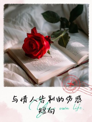 唯美伤感句子：爱情总是想象比现实美丽，相逢如是，告别亦如是