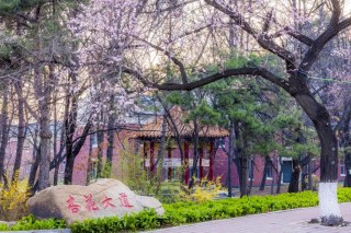 吉林历史类630分能上什么学校2026（好大学有哪些）