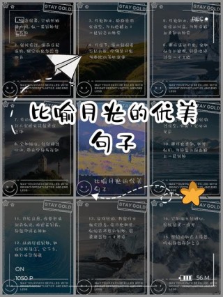 句子向|抬头仰望，别浪费了月亮。
