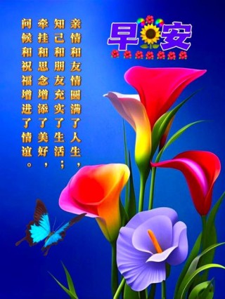 相交易得，知音难觅；千金易得，知己难求，早安