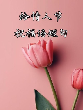 情人节送给心上人的暖心情话，唯美浪漫，句句撩人！