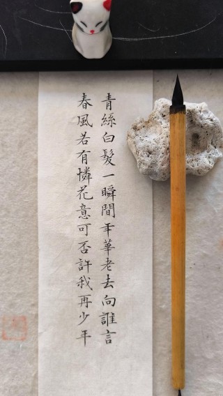 水流花落几多伤，已去无踪影，唯有青丝染白霜