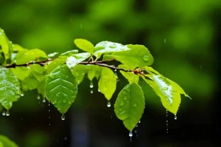 我不喜欢下雨，但我喜欢听雨声，就像我是一个爱笑的人，