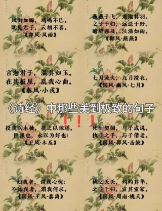 文言文中最美的50个句子，清新怡人，比诗词还美