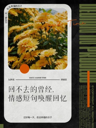 一辈子都不会忘记那些最美好的回忆