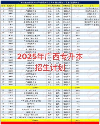 广西物理类455分能上什么好大学2026（附排名）