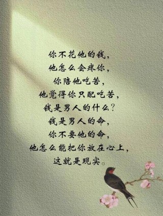 现实，现实的挑战与机遇