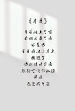 当我老了，我依旧在黑暗里寻找着白色的月光……