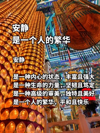 周国平的散文集中有这么一句话：人生最好的境界是丰富的安静。