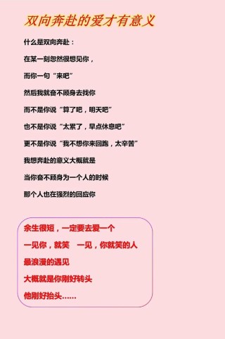 爱情独白的情感文案