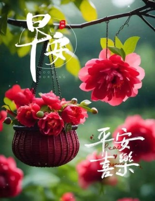 9.26，我祝福愿你：身安、心安、早安、晚安、一生平安