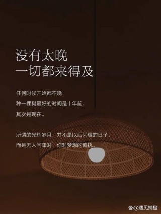 值得一读再读的句子，种一棵树最好的时间是十年前，其次是现在