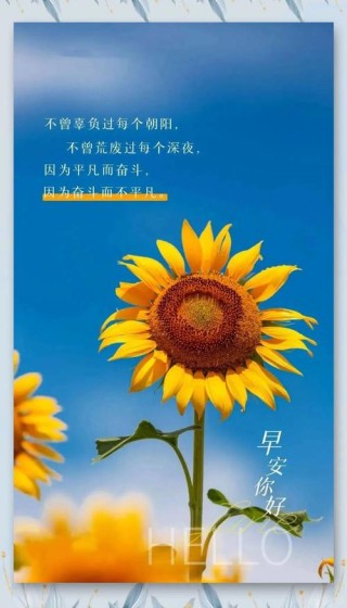 发朋友圈短句，句句阳光正能量！