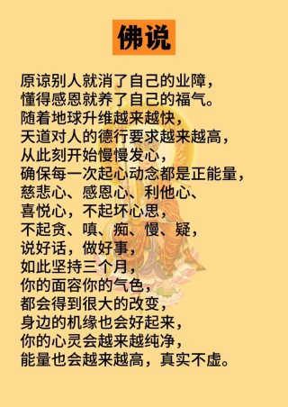 让人大彻大悟的句子：学会原谅，快乐至上