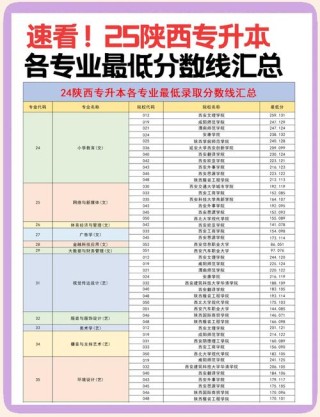 2026陕西青年职业学院在河北各专业招生人数、录取分数线（附：招生计划表）