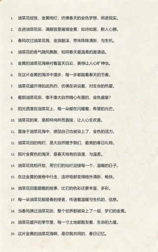 描写花的优美句子
