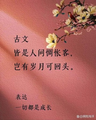 回忆的伤感句子古风语录-图说精灵