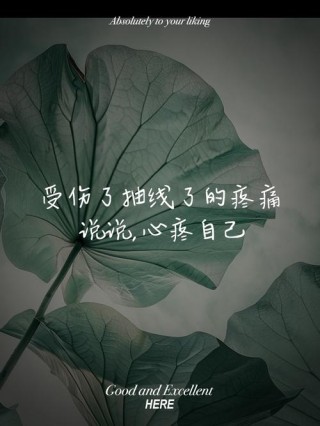 一个人默默承受伤痛的句子，送给深夜无眠的自己