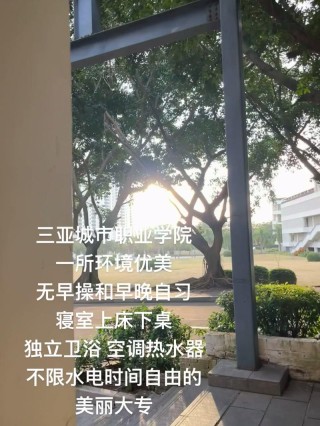 三亚城市职业学院2026各专业在湖南招生人数、录取分数线（附：招生计划表）