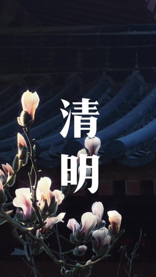 清明·忆