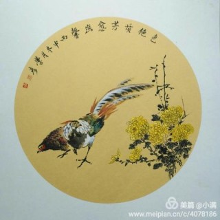 妙栖腕睬翎誉忽化庙