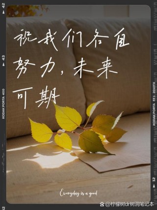 祝愿未来可期的句子，未来可期，愿你心怀希望，勇往直前。