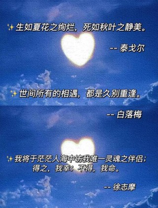 五十个唯美句子，满满的写作干货！