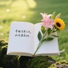 时光正好，快乐随心，日子不必太复杂，心安之处，便是美好