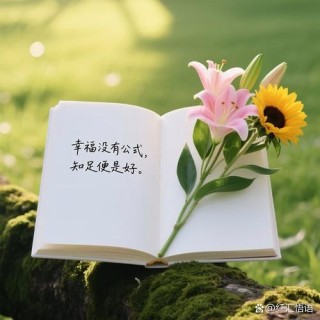 时光正好，快乐随心，日子不必太复杂，心安之处，便是美好